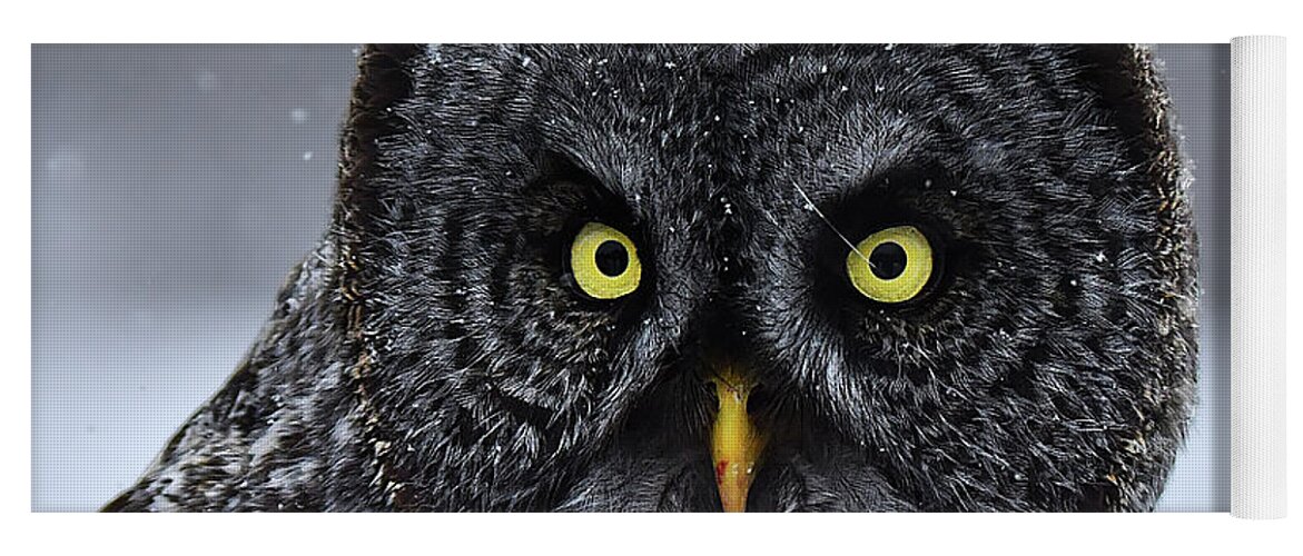 Bird Yoga Mat featuring the photograph Great Gray Owl Face by Alan Lenk