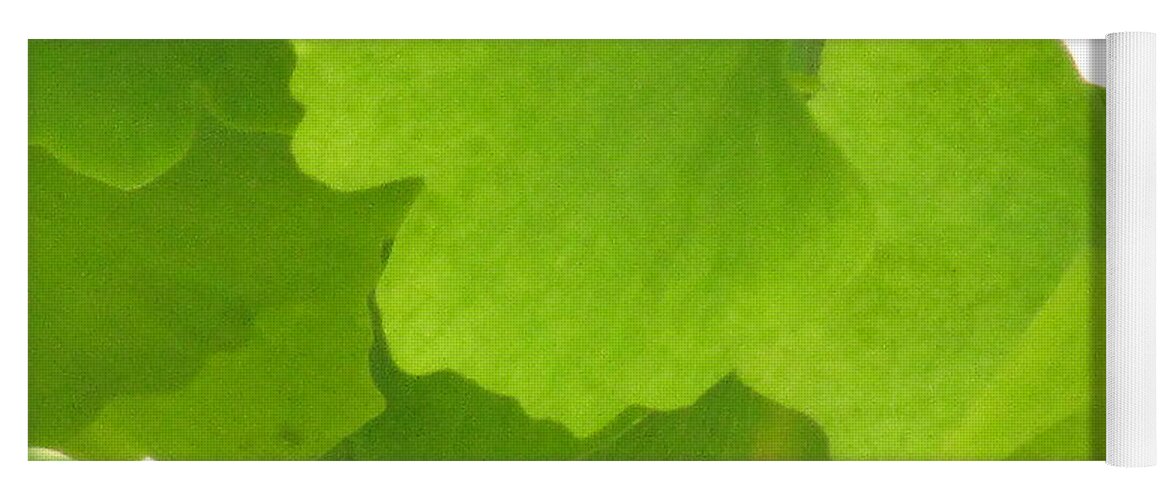 Ginkgo Leaves Yoga Mat featuring the photograph Green Ginkgo by Kim Tran