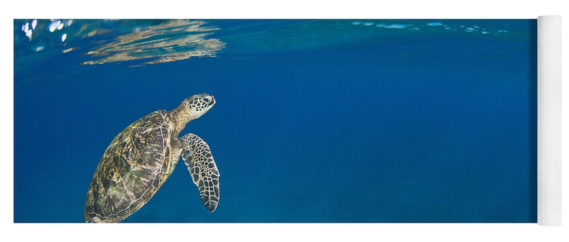 Animal Yoga Mat featuring the photograph Green Sea Turtle at Surface by Dave Fleetham - Printscapes