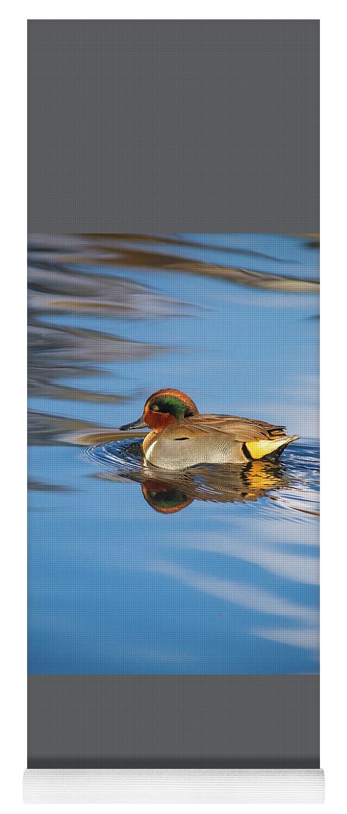 Mark Miller Photos Yoga Mat featuring the photograph Green-winged Teal in pretty water by Mark Miller