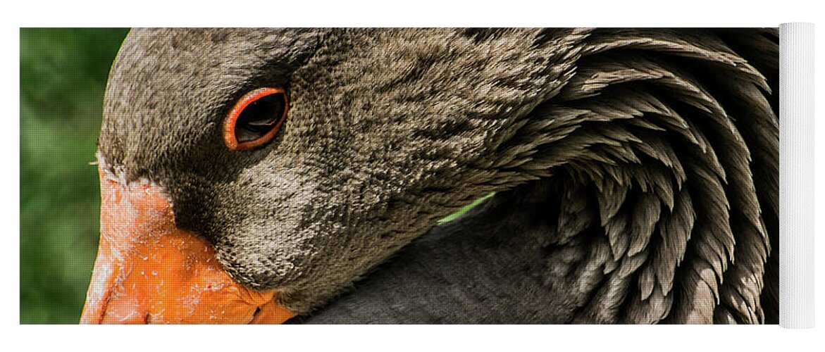 Greylag Goose Yoga Mat featuring the photograph Greylag Goose Portrait by Gary Whitton
