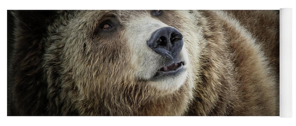Grizzly Bear Yoga Mat featuring the photograph Grizzly Close Up by Athena Mckinzie