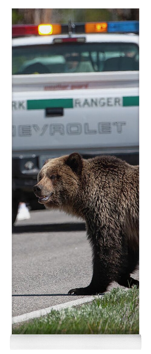 Grizzly Yoga Mat featuring the photograph Grizzly in Yellowstone by Mark Miller