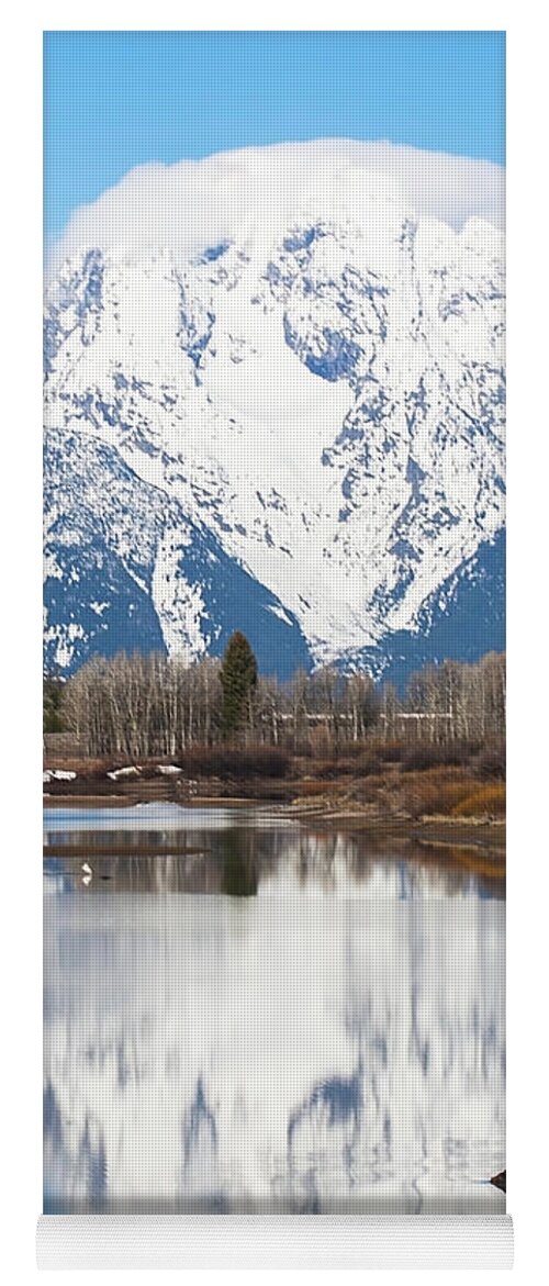 Daryl L. Hunter Yoga Mat featuring the photograph Grizzly Reflection by Daryl L Hunter