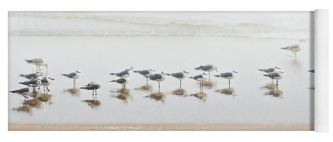Birds Yoga Mat featuring the photograph Grounded By Fog by Christopher Holmes