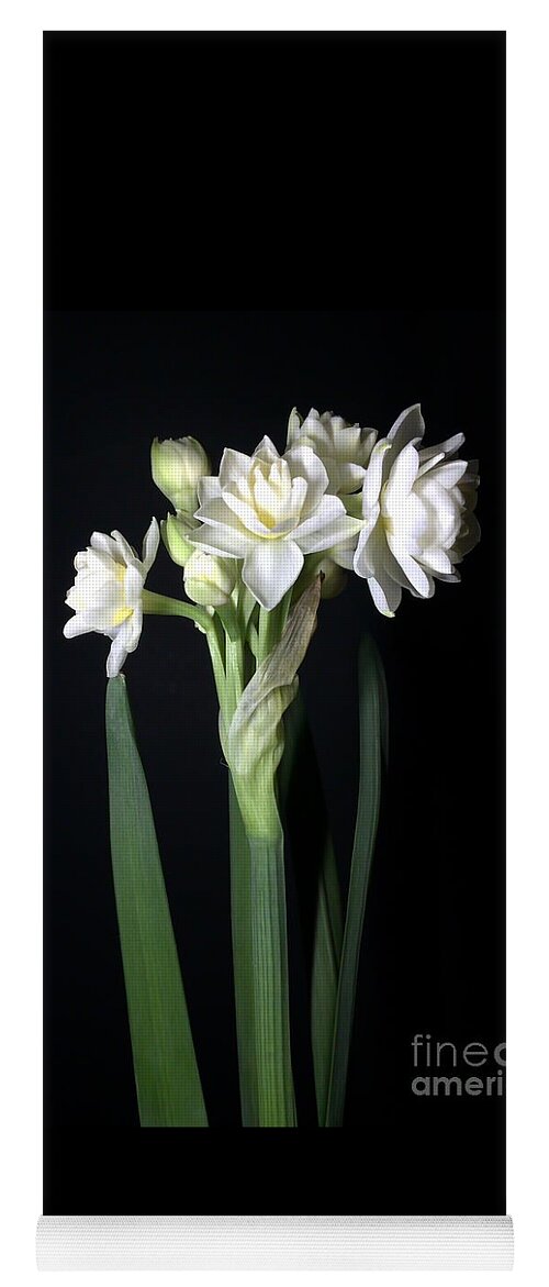 Photograph Yoga Mat featuring the photograph Grow Tiny Paperwhites Narcissus Photograph by Delynn Addams by Delynn Addams