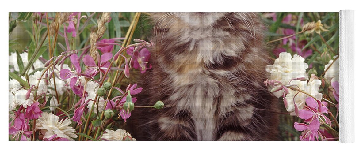Fluffy Yoga Mat featuring the photograph Guarding the Garden by Warren Photographic