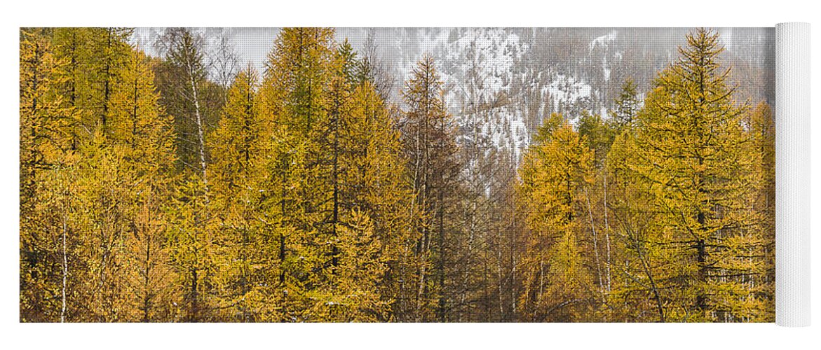Autumn Landscape Yoga Mat featuring the photograph Guisane valley in Autumn - French Alps by Paul MAURICE