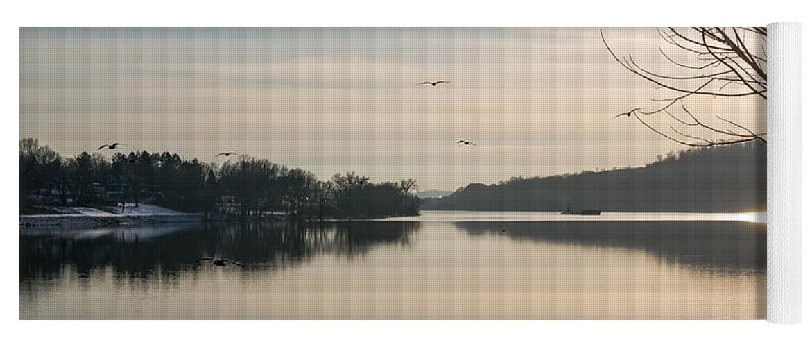 Gulls Yoga Mat featuring the photograph Gulls Over the Ohio by Holden The Moment