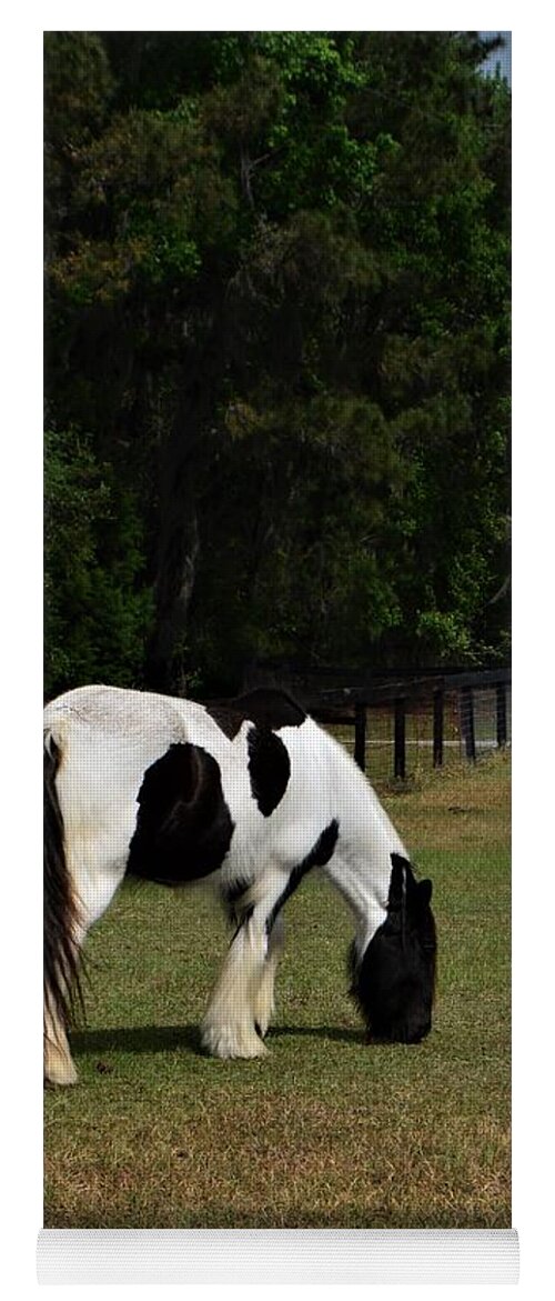 Gypsy Vanner Horse 2 Yoga Mat featuring the photograph Gypsy Vanner Horse 2 by Warren Thompson