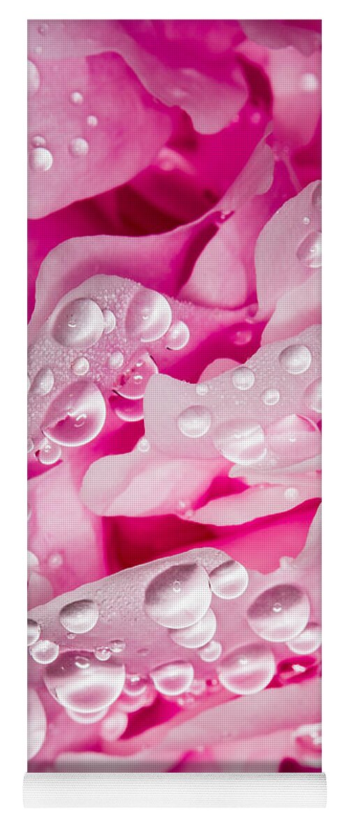 Garden Yoga Mat featuring the photograph Hanging Droplets by Rikk Flohr