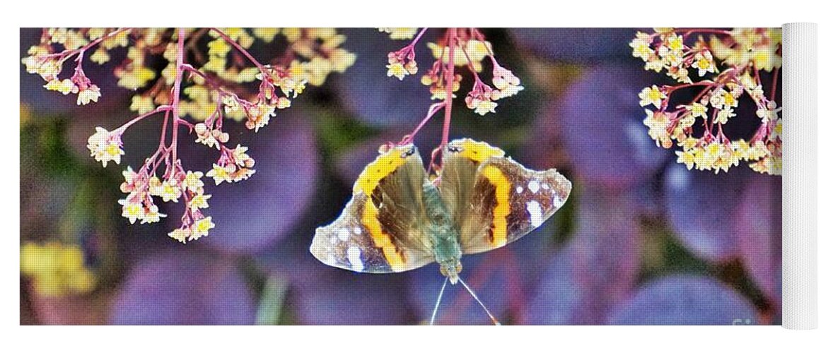 Butterfly Yoga Mat featuring the photograph Hanging out Wichita by Merle Grenz