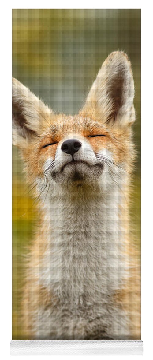 Red Fox Yoga Mat featuring the photograph Happy Fox by Roeselien Raimond