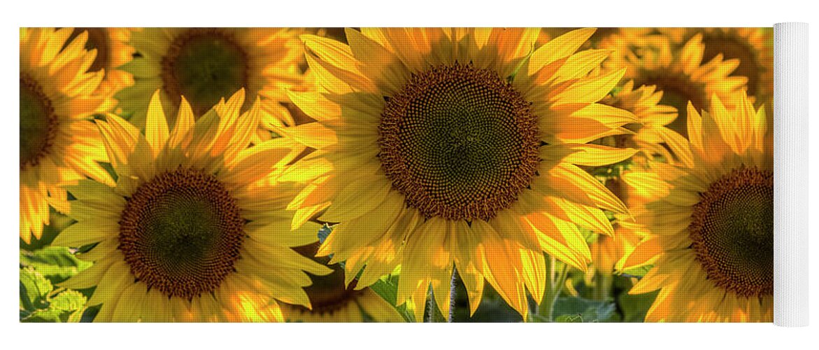 Sunflower Yoga Mat featuring the photograph Happy by Mark Kiver