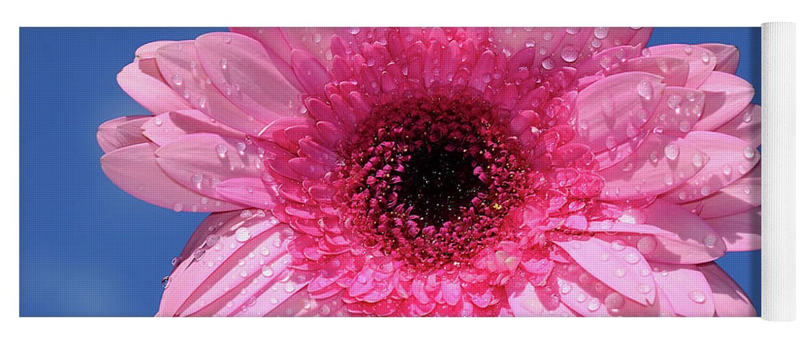 Happy Pink Gerbera Yoga Mat featuring the photograph Happy Pink Gerbera by Kaye Menner by Kaye Menner