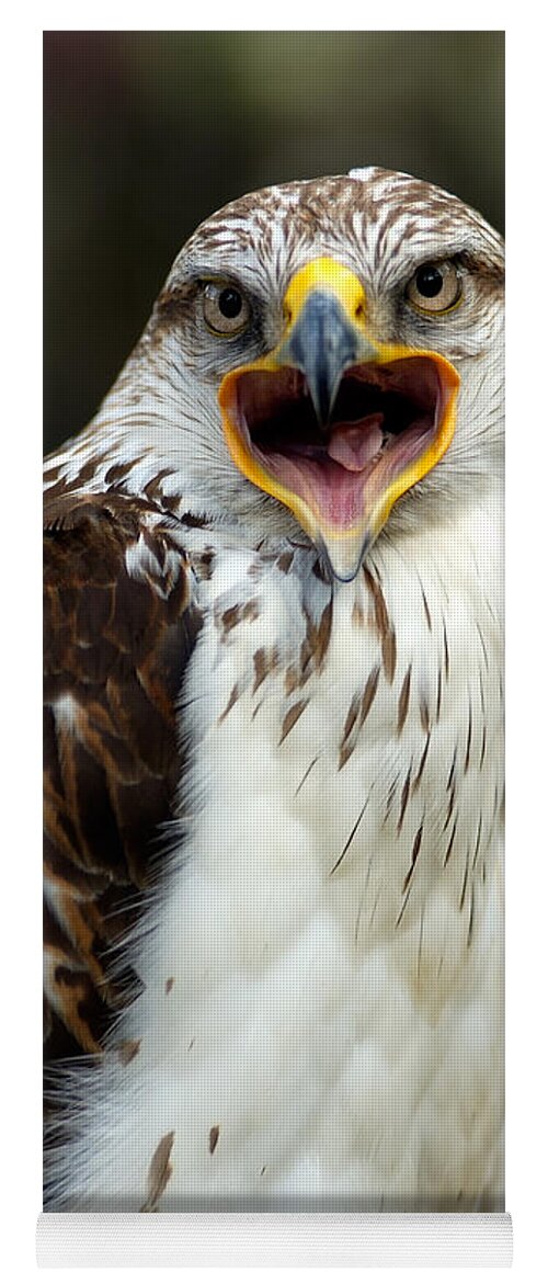 Hawk Yoga Mat featuring the photograph Hawk by Doug Gibbons