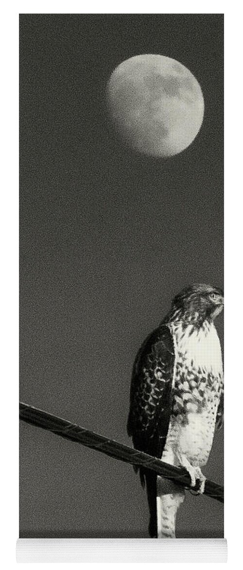 Hawk Yoga Mat featuring the photograph Hawk In the Moon by Bill Roberts