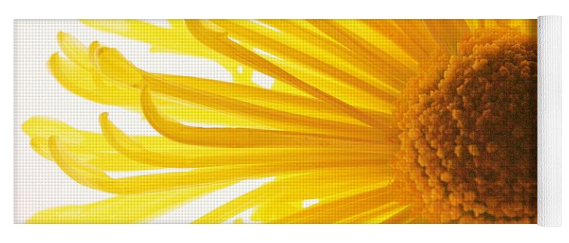 Daisy Yoga Mat featuring the photograph Hello Sunshine by Julie Lueders 