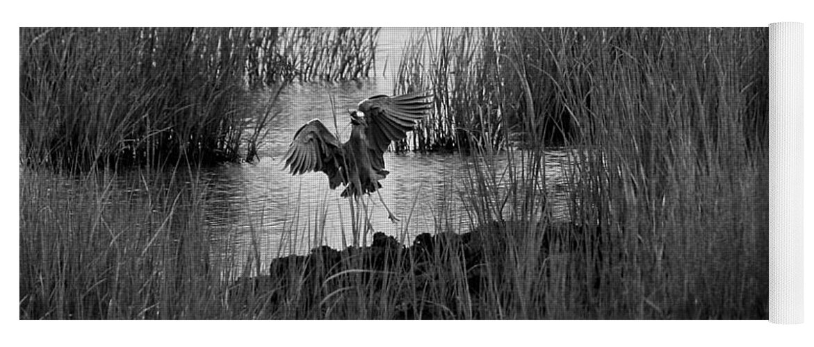 Bird Yoga Mat featuring the photograph Heron and Grass in B/W by William Selander