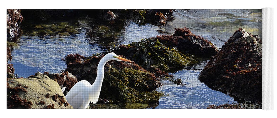 Heron Yoga Mat featuring the photograph Heron at the TIde Pools by Debby Pueschel