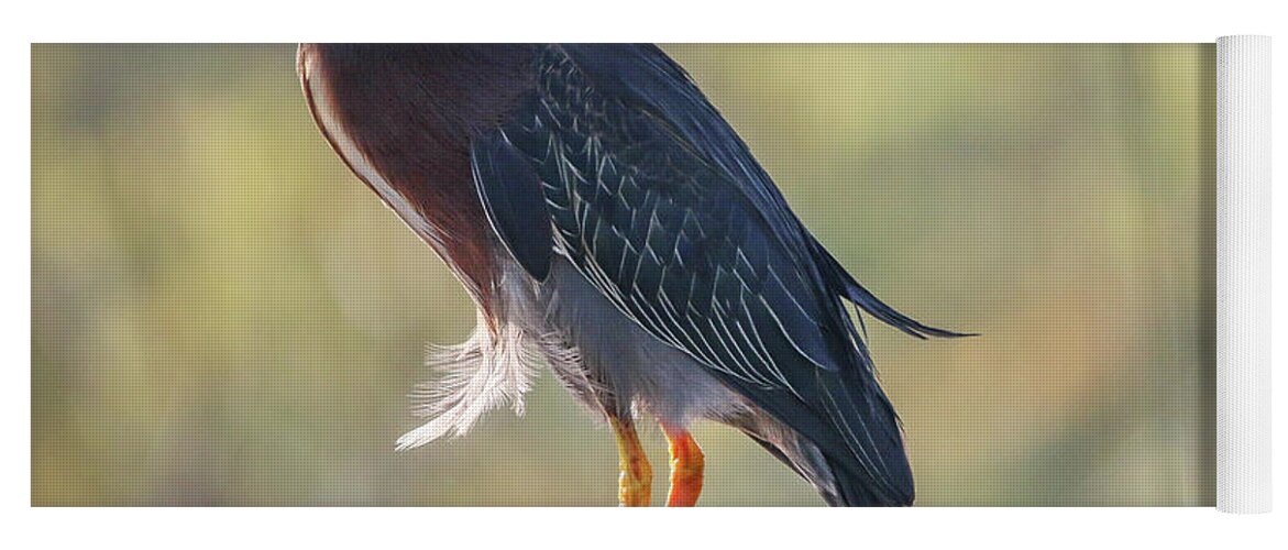 Heron Yoga Mat featuring the photograph Heron with Ruffled Feathers by Tom Claud