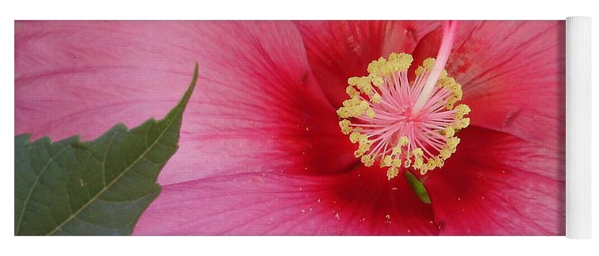 Hibiscus Yoga Mat featuring the photograph Hibiscus by Anjel B Hartwell