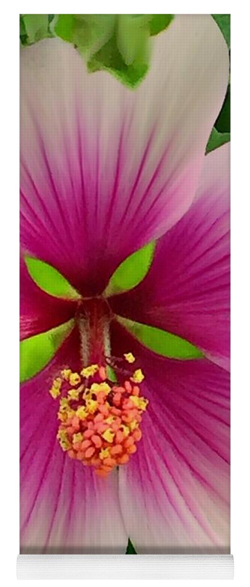 3000 Views Yoga Mat featuring the photograph Hibiscus Face by Jenny Revitz Soper