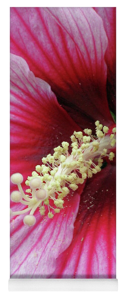 Hibiscus Yoga Mat featuring the photograph Hibiscus - Summerific Summer Storm 08 by Pamela Critchlow