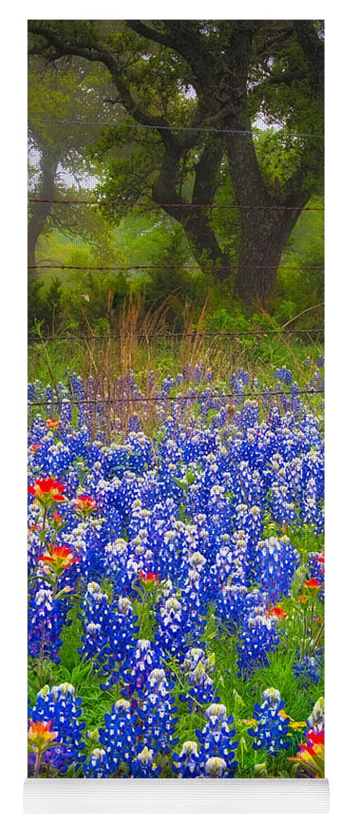 America Yoga Mat featuring the photograph Hill Country Forest by Inge Johnsson