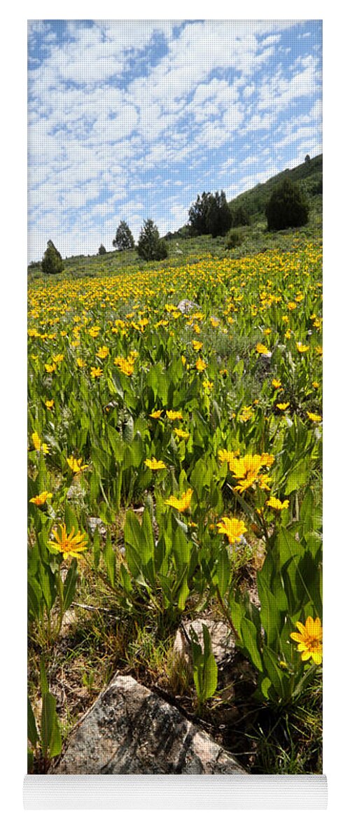 Flower Yoga Mat featuring the photograph Hills of Yellow Flowers by Brett Pelletier