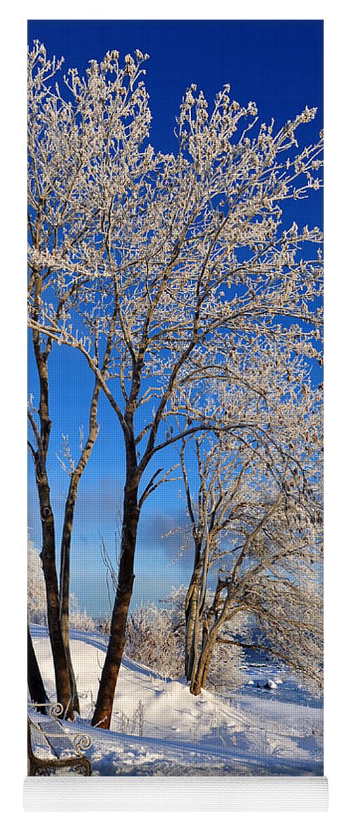 Norway Yoga Mat featuring the photograph Hoarfrost by Randi Grace Nilsberg