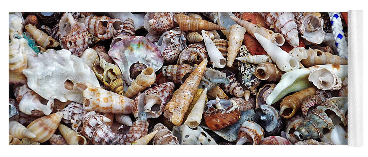 Shells Yoga Mat featuring the photograph Holiday Harvest by Charles Stuart