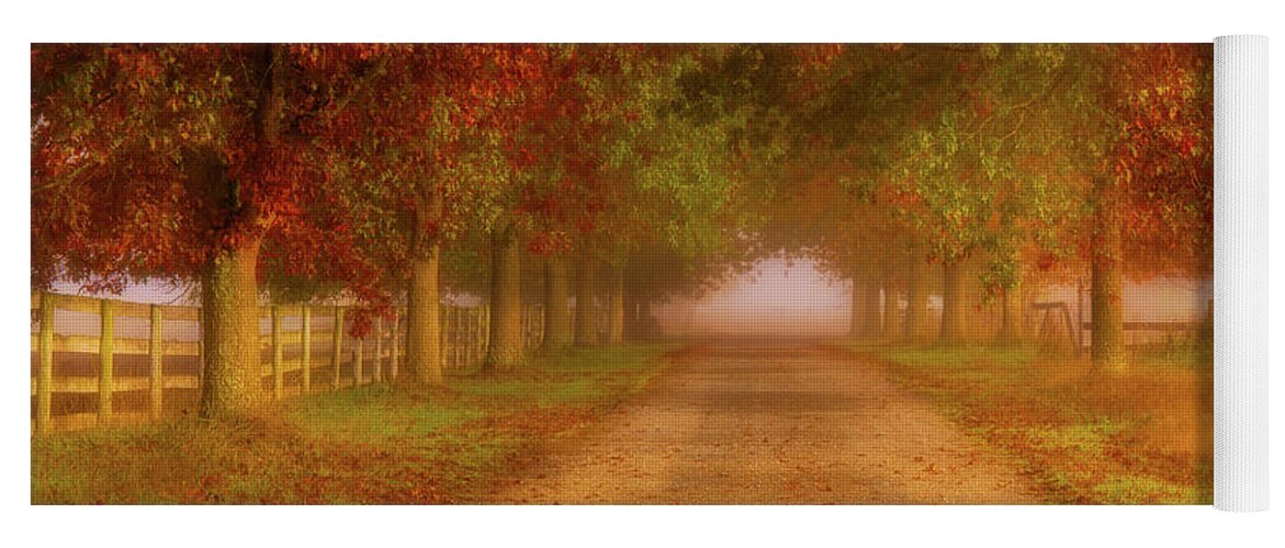 Fall Foliage Yoga Mat featuring the photograph Home Again by Judi Kubes
