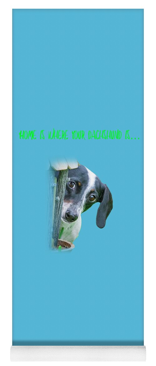 Dachshund Yoga Mat featuring the photograph Home Is Where Your Dachshund Is by Mark Andrew Thomas
