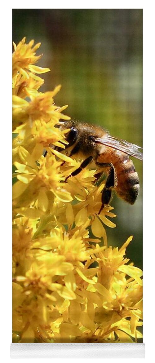 Nature Yoga Mat featuring the photograph Honeybee on Showy Goldenrod by Sarah Lilja