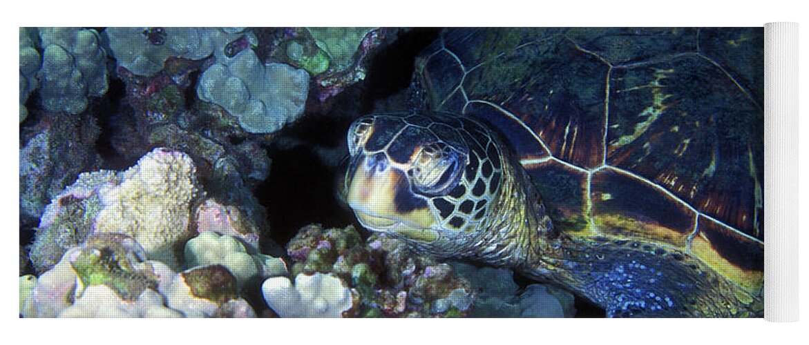 Green Sea Turtle Yoga Mat featuring the photograph Honu, Green Sea Turtle 2 by Pauline Walsh Jacobson