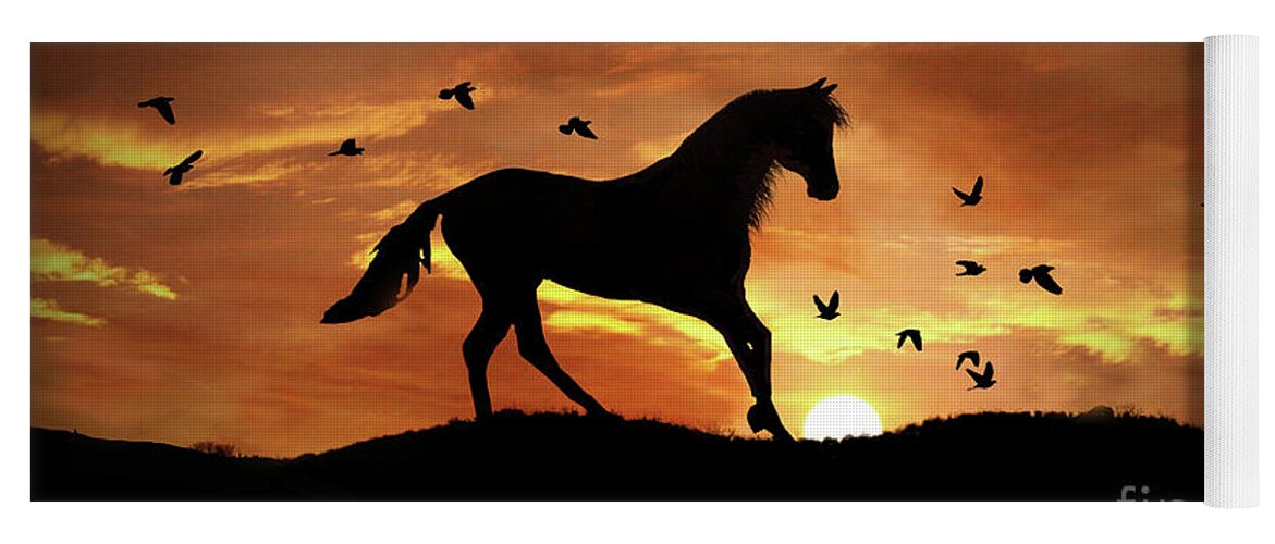 Birds Yoga Mat featuring the photograph Horse and Birds in Sunset by Stephanie Laird