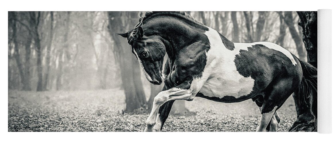 Horse Yoga Mat featuring the photograph Horse in the forest by Dimitar Hristov
