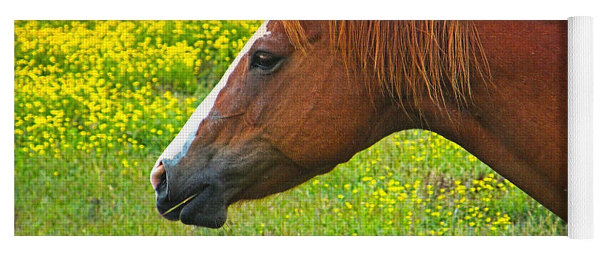 Horse Yoga Mat featuring the photograph Horse in Yellow Field by Wendy McKennon