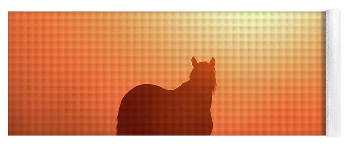 Silhouette Yoga Mat featuring the photograph Horse Silhouette by Wesley Aston