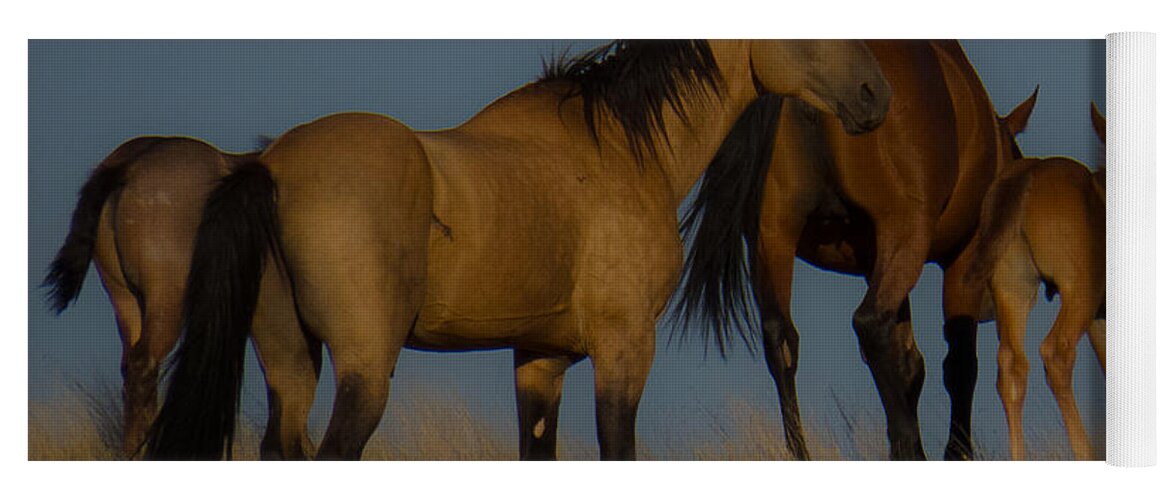 Horse Yoga Mat featuring the photograph Horses 1 by Christy Garavetto