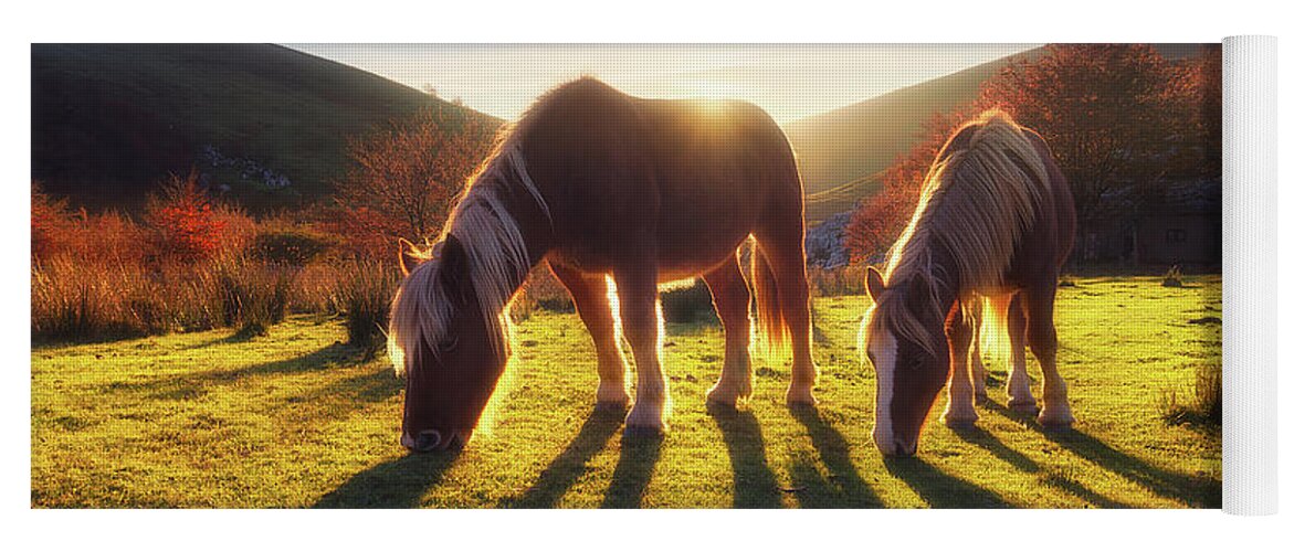 Horse Yoga Mat featuring the photograph Horses in Austigarmin by Mikel Martinez de Osaba