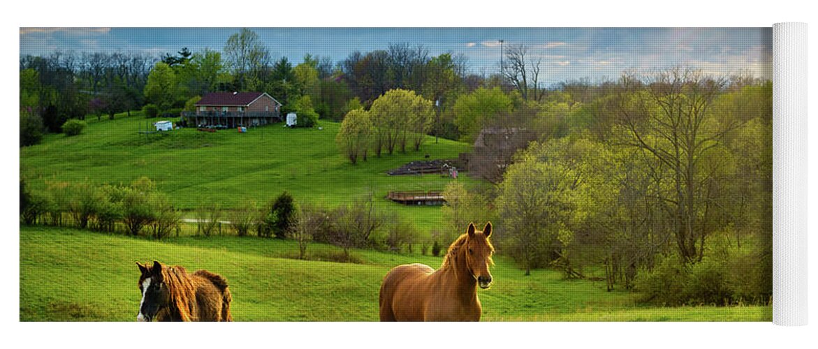 Agriculture Yoga Mat featuring the photograph Horses on a pasture in Kentucky by Alexey Stiop