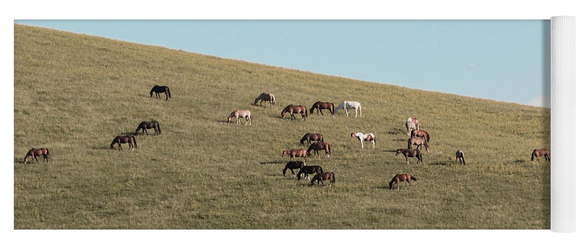 Horses Yoga Mat featuring the photograph Horses On The Hill by D K Wall