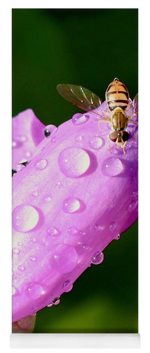 Hover Fly Yoga Mat featuring the photograph Hoverfly on Pink Flower by Sarah Lilja