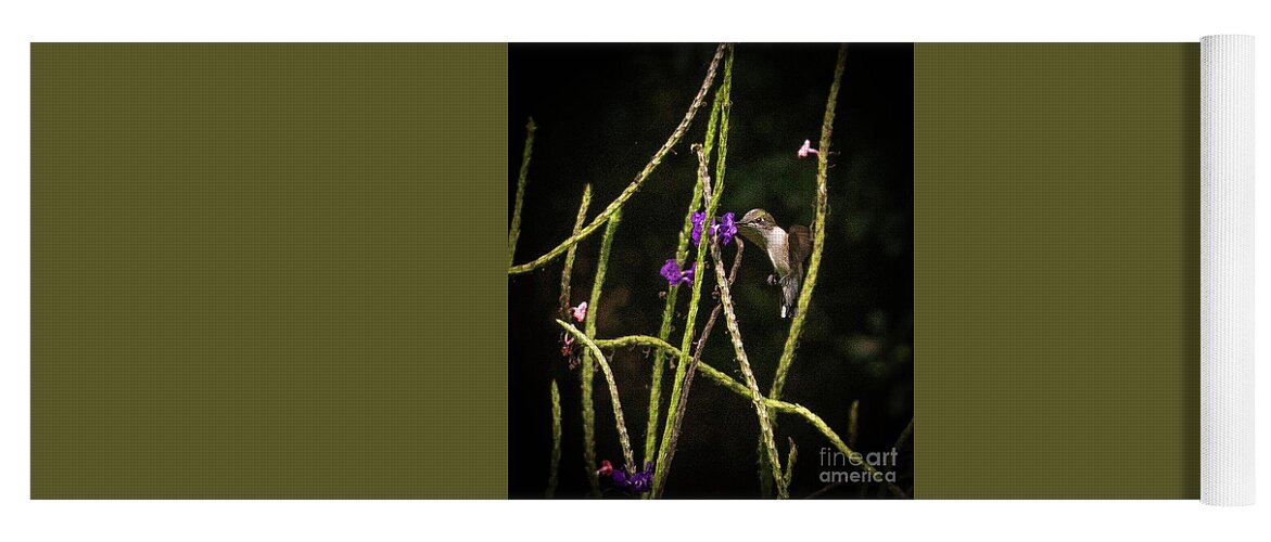 Hummingbird Yoga Mat featuring the photograph Hummingbird by Barry Bohn