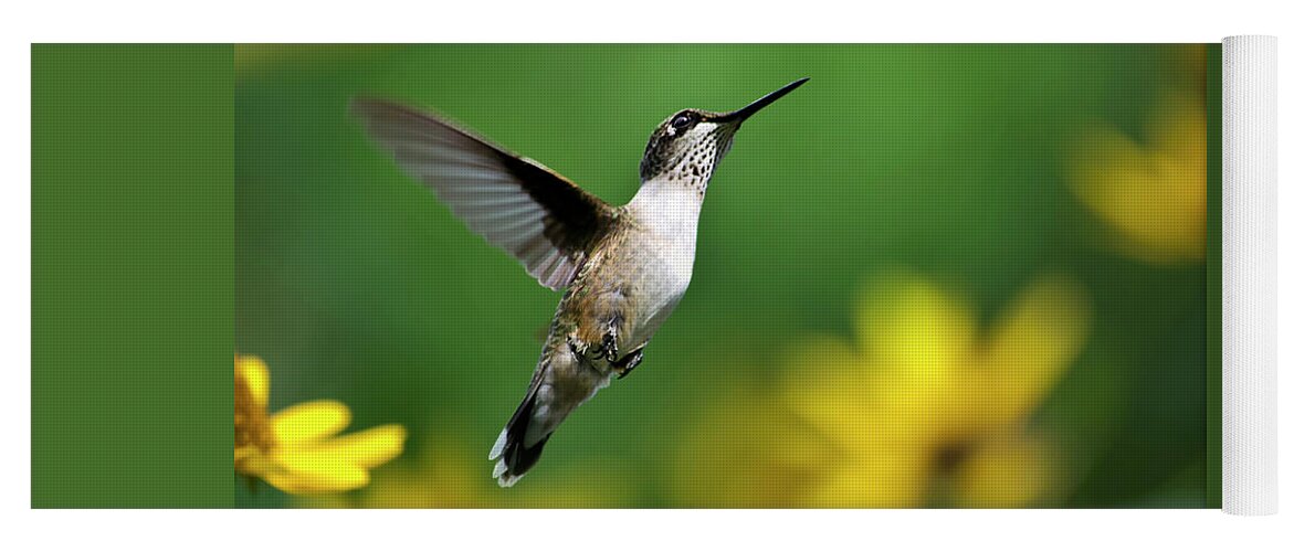 Hummingbird Yoga Mat featuring the photograph Hummingbird Flight Of Fancy by Christina Rollo