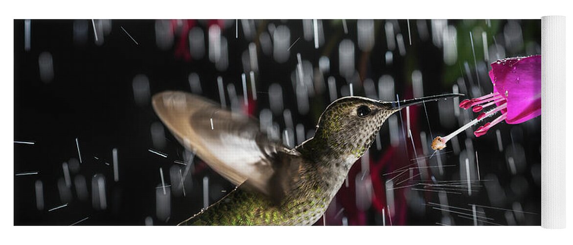 Action Yoga Mat featuring the photograph Hummingbird hovering in rain with splash by William Lee
