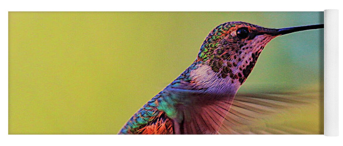 Bird Yoga Mat featuring the photograph Hummingbird by Mark Jackson