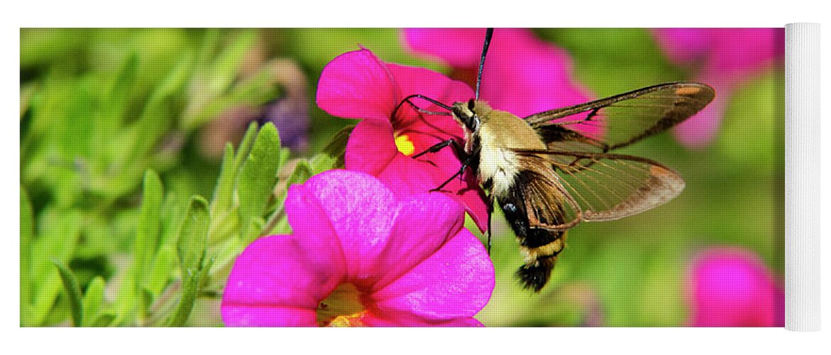 Hummingbird Moth Yoga Mat featuring the photograph Hummingbird Moth by Christina Rollo
